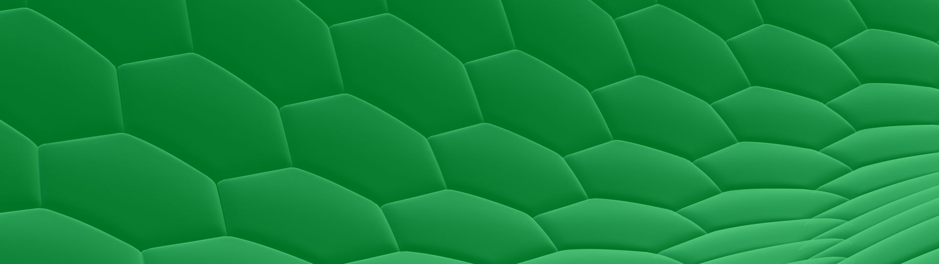 FrontPage Header Green
